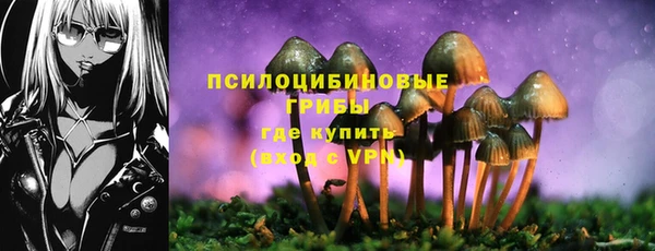 MDMA Богородицк